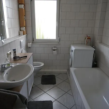 公寓 Mit Gemuetlicher Terrasse Im Nordschwarzwald